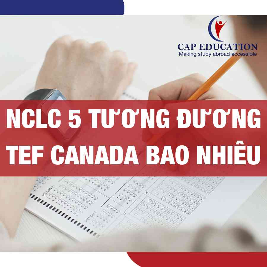 NCLC 5 Tương Đương TEF Canada Bao Nhiêu